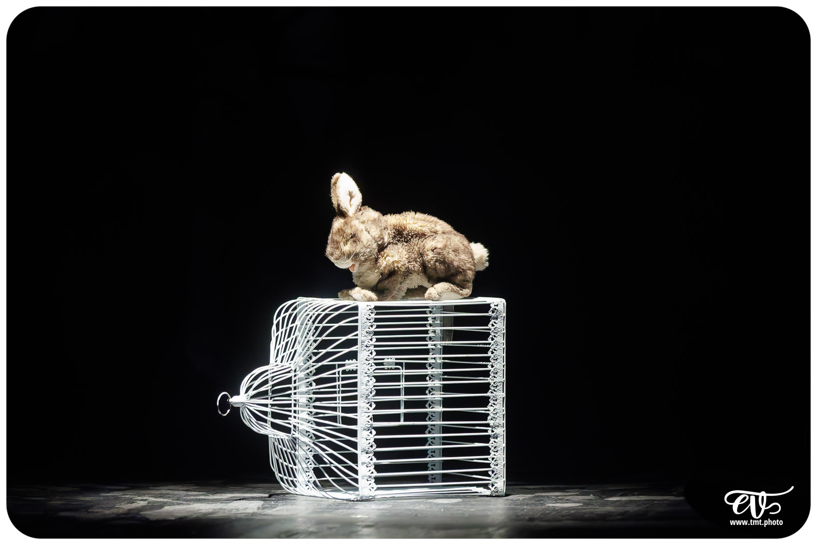 TITANIC (LES MOUTONS NOIRS)